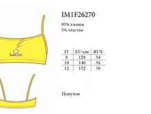 ������� IM1F26270 Viaggio.jpg