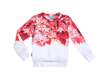 ������� ��� ������� ����� No2