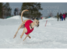 32794429550 b1482e4a11 o.jpg