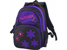 ������ WINNER 310 920 ���.