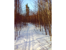 IMG 20170311 094129.jpg