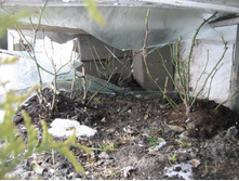 ����� 067.jpg