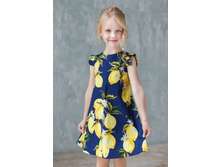 9612168_690 ���.