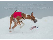 32361320383 d0f53e8c6f o.jpg