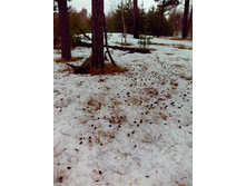 IMG 20170318 082039.jpg