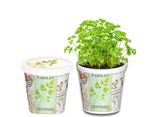 ��������  80 ���..jpg