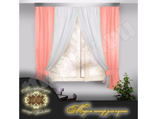 ���� ���� 595 ���