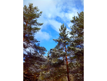 IMG 20170325 110747.jpg