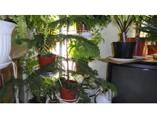 ��� � ���� ������ ��������� ....