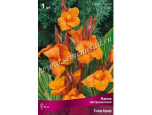 ����� ������������� ���� ����.jpg