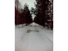 IMG 20170304 121514.jpg