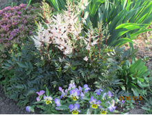 �������� (2).JPG