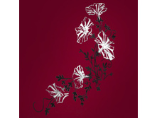 101082R Vunok-230�340=30�