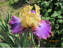 ������ �����.JPG