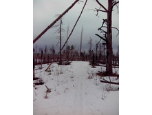 IMG 20170319 102604.jpg