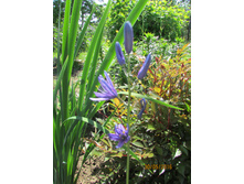 �������� ������.JPG