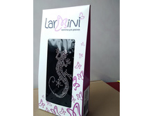 IMG 20170304 124313.jpg