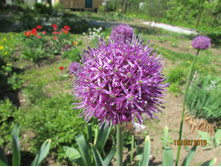 ��� ����������.JPG