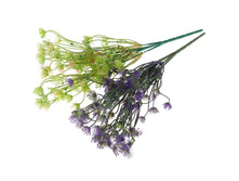 ����� "�����" ��������� "�����" ���� �����; 30 ��; �������; � ����� 800 ��. ���.: 1653786 55.00 ���.