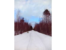 IMG 20170304 124846.jpg