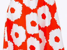 ���� 527/klotilda