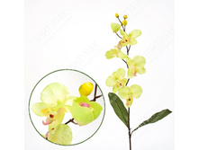 ��000504 ������� ���������� "������" 73 �� 1 �� (������-��̣���)  ������ ���� 107 ����� ���� 64,2