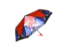 ������� ����� Pasio 725 ����������� ������������ 450 ���