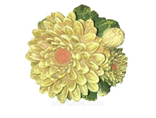 ����� �� ����� ���������� �-9��, L-15��.jpg