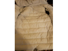 ������� .jpg