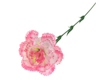 ������ ������������� "����-������� ��������"������ ������������� "����-������� ��������" �����; 9 �� × 50 ��; �������, ��������; � ����� 4200 ��. ���.: 183276 14.85 ���.