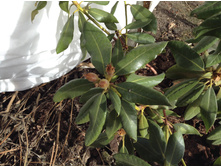 ������������ �����������