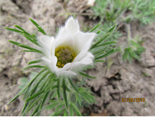 �������� �����.JPG