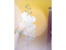 2017-03-28 10-58-29.JPG