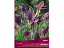 ����� �������.jpg