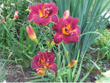 ���� ������.JPG