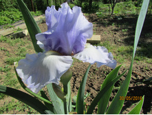 ���� ��������� ������ ��������