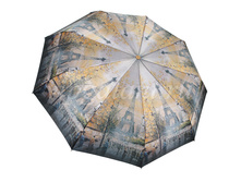 Zont-zhenskiy-300-zita-3-sl-s-a-9-spits-satin 11.jpg