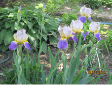 �� ��������