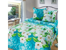 ��� 1,5 ��. ���� ��� "�����" 1 092,00 ���. ������: ������ 100%