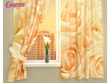 ��������� "��������" 1 970,00 ���. �����: ����������� �������: 290*160 �� ��������: �������� �����: 01131 �������������: ������