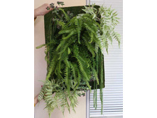 ���������� 01