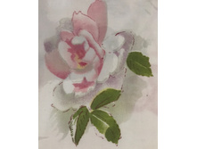 �nn� Rit�, �������