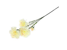 ����� ������������� "���������" ����-�������������� ������������� "���������" ����-��������� �����; 8 �� × 67 ��; �������, ��������; � ����� 600 ��. ���.: 1662270 59.00���.