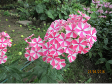 ����������� ��������� �����.JPG