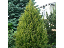 ��� ���. ������������+