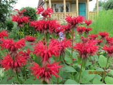 ������� ��������� ��������.JPG