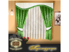 ������ ���� 1100 ���