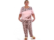 ������ ����.jpg