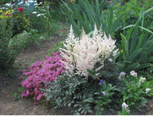 ������ ������, ��������.JPG