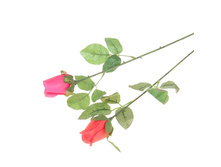 ������ ������������� "�������" (���� ����)������ ������������� "�������" (���� ����) �����; 6 �� × 6 �� × 70 ��; �������, ��������; � ����� 1000 ��. ���.: 649210 26.80 ���.